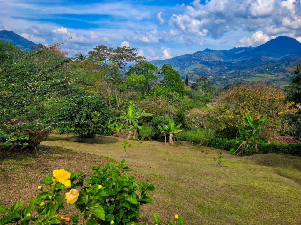 finca_barbosa_p10_foto_01